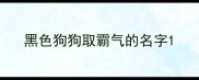 黑色狗狗取霸气的名字