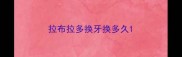 拉布拉多换牙换多久