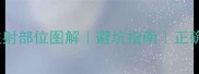 德牧疫苗注射部位图解避坑指南正确操作流程
