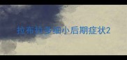 拉布拉多细小后期症状