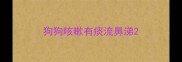 狗狗咳嗽有痰流鼻涕