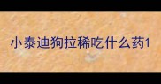 小泰迪狗拉稀吃什么药