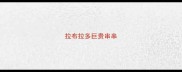 拉布拉多巨贵串串