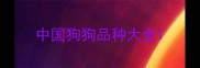 中国狗狗品种大全