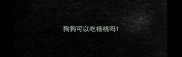 狗狗可以吃杨桃吗