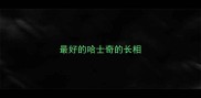最好的哈士奇的长相