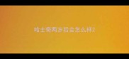 哈士奇两岁后会怎么样