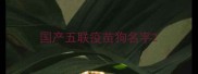 国产五联疫苗狗名字