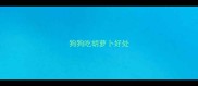 狗狗吃胡萝卜好处