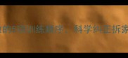 拉布拉多幼犬期必做的5项训练顺序科学纠正拆家吠叫等常见问题