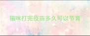 猫咪打完疫苗多久可以节育