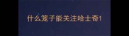 什么笼子能关注哈士奇