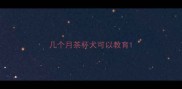 几个月茶杯犬可以教育