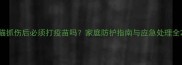 猫抓伤后必须打疫苗吗家庭防护指南与应急处理全