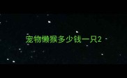 宠物懒猴多少钱一只