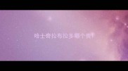 哈士奇拉布拉多哪个贵