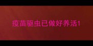 疫苗驱虫已做好养活