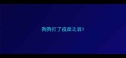 狗狗打了疫苗之后