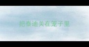 把泰迪关在笼子里