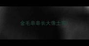 金毛串串长大像土狗