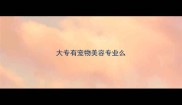 大专有宠物美容专业么