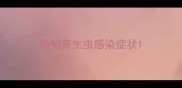 狗狗寄生虫感染症状