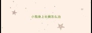 小狗身上长癣怎么治