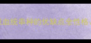 边境牧羊犬哈士奇混血犬双血统串种的优缺点全性格养护市场价值一篇文章说清
