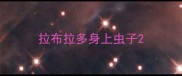 拉布拉多身上虫子