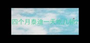 四个月泰迪一天吃几顿