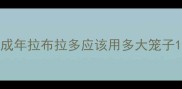 成年拉布拉多应该用多大笼子