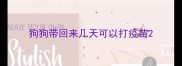 狗狗带回来几天可以打疫苗