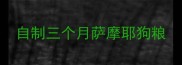自制三个月萨摩耶狗粮