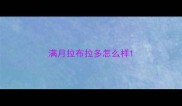 满月拉布拉多怎么样