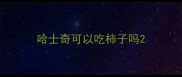 哈士奇可以吃柿子吗