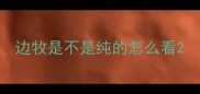 边牧是不是纯的怎么看