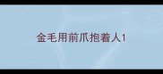金毛用前爪抱着人
