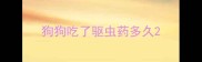 狗狗吃了驱虫药多久