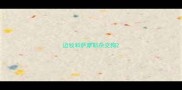 边牧和萨摩耶杂交狗