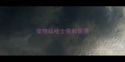 宠物级哈士奇和普通