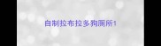 自制拉布拉多狗厕所