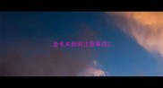 金毛来例假注意事项