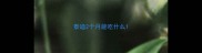 泰迪2个月能吃什么