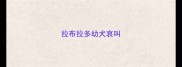 拉布拉多幼犬哀叫