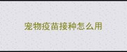 宠物疫苗接种怎么用
