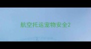 航空托运宠物安全