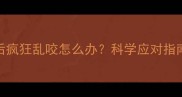雪纳瑞打完疫苗后疯狂乱咬怎么办科学应对指南附训练视频