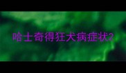 哈士奇得狂犬病症状