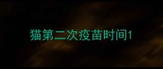 猫第二次疫苗时间