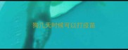 狗几天时候可以打疫苗